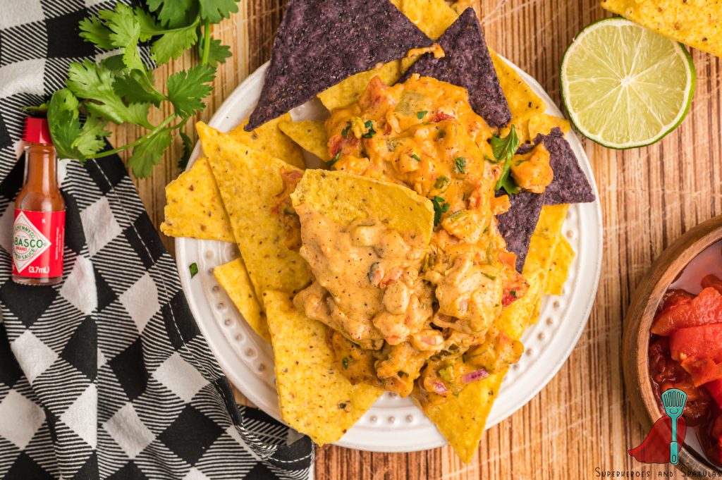 queso on a small white plate with tortilla and blue corn chips