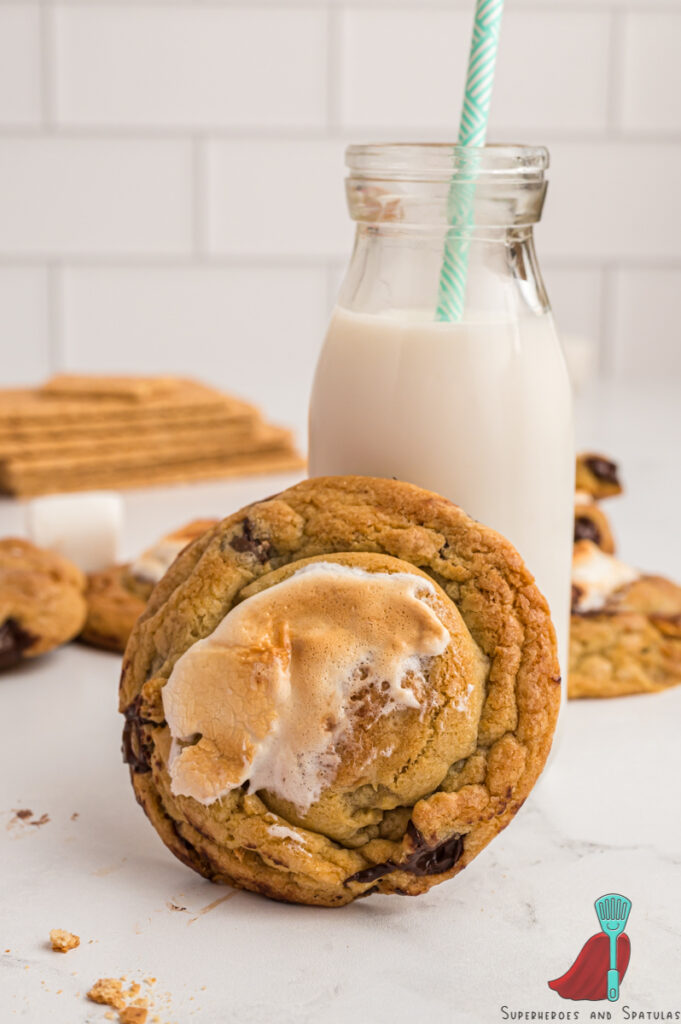 cookie leaning against a glass of milk